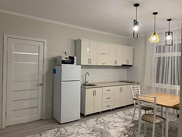 Продажа квартир: 1 комната, 41 м², Аламединский рынок / базар Индивидуалка, 2 этаж, Евроремонт — 8