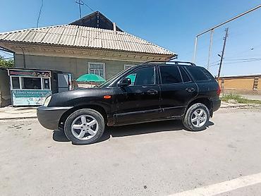 small car: Hyundai Santa Fe: 2003 г., 2 л, Механика, Дизель, Кроссовер — 9