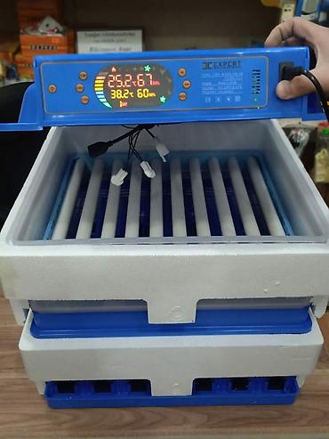 Kənd təssərüfatı avadanlığı: Inkubator inkubatorlarin birinci əl satişi mağazamizda olan inkubator — 8
