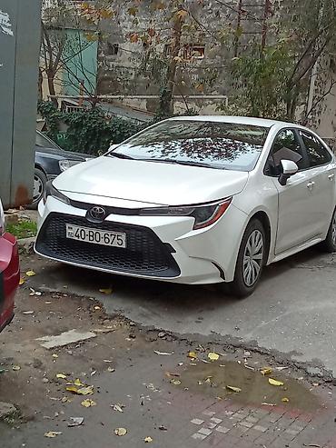 nıssan: Toyota Corolla: 1.8 l | 2019 il Sedan — 3