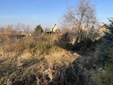 Продажа участков: 5 соток, Для сельского хозяйства, Красная книга, Тех паспорт, Договор купли-продажи — 7