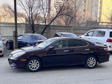 алфард продажа: Toyota Windom: 2003 г., 3 л, Автомат, Газ, Седан