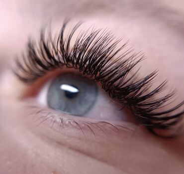 Ресницы: Ресницы, Голливуд, Классика, 2D, Требуются модели — 5