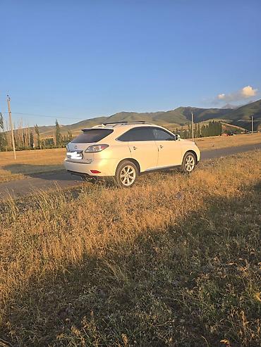 Lexus: Lexus RX: 2010 г., 3.5 л, Автомат, Бензин, Кроссовер — 9