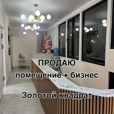 офис в бизнес центре: Продаю коммерческое помещение + действующий готовый бизнес салон