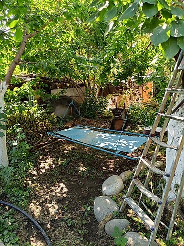 Продажа участков: 5 соток, Красная книга — 15