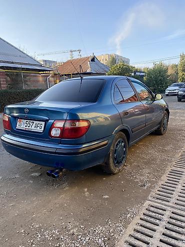 alfa ramoe: Nissan Almera: 2000 г., 1.5 л, Механика, Бензин, Седан — 5