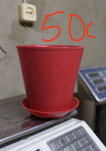 лампа для растений: Гүл чака 50с советское качество
