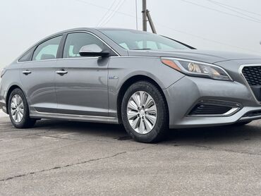 кона хюндай: Hyundai Sonata: 2016 г., 2 л, Автомат, Гибрид, Седан