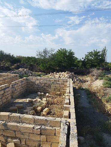 visnofkada torpaq: 6 sot, Tikinti, Mülkiyyətçi, Kupça (Çıxarış) — 8