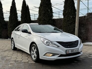 Hyundai: Hyundai Sonata: 2010 г., 2 л, Типтроник, Бензин, Седан