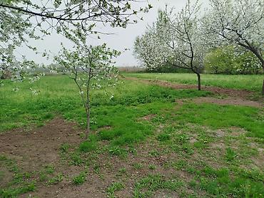 Продажа коттеджей и домов: Продается дом 4 комнаты в городе Кант с.Гагарина дом очень хорошо — 3