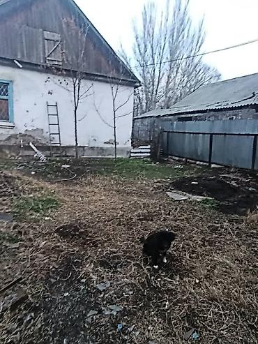 Продажа домов: Дом, 100 м², 4 комнаты, Собственник, Старый ремонт — 11