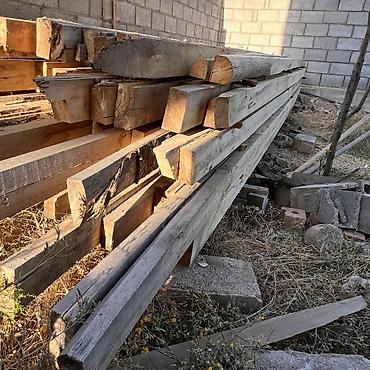 хвойные растения: Ассалоому алейкум кенири жетет бир чон уйдун крышасына полный терек — 3
