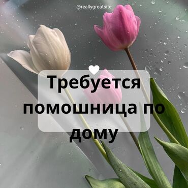 помощь в переезде: Уйго иштегенге жардамчы кыз келин керек уй жыйнап тамак жазып жана