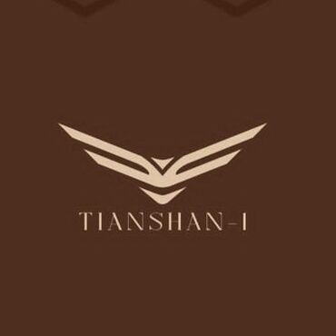 часы ручные: Логотип Tianshan-I представляет собой стилизованное изображение