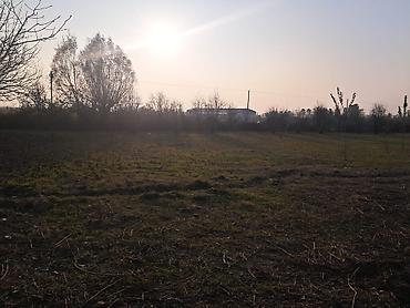 Torpaq sahələrinin satışı: 25 sot, Mülkiyyətçi — 4