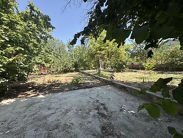 Продажа дачи: Продам дачу, собственник Сад плодородный Яблони, груши, королевский — 10
