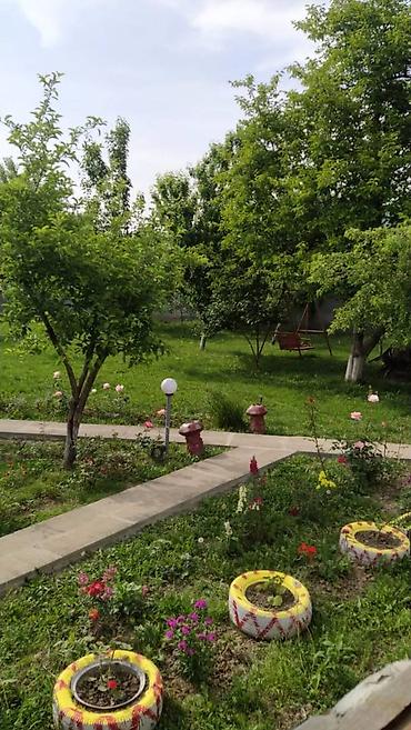 baki kiraye: 200 kv. m, 4 otaqlı, Artezian quyusu, Qaz, İşıq — 3