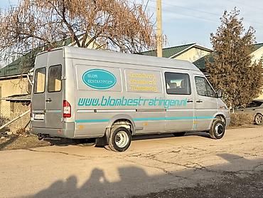 Грузовики: Грузовик, Mercedes-Benz — 4