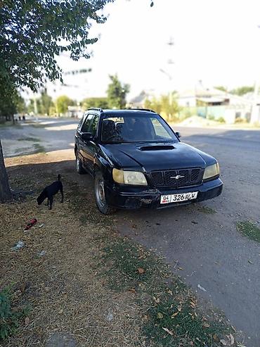 продам субурбан: Subaru Forester: 2000 г., 2 л, Автомат, Бензин, Универсал — 1