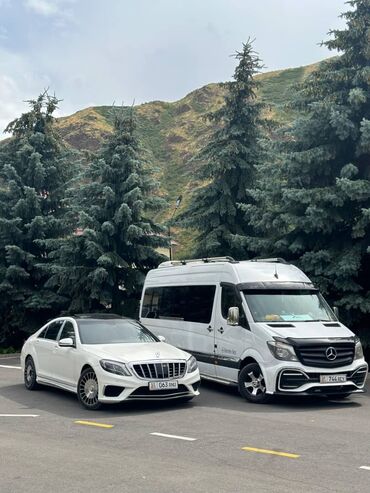 Трансфер, пассажирские перевозки: Бус — 24