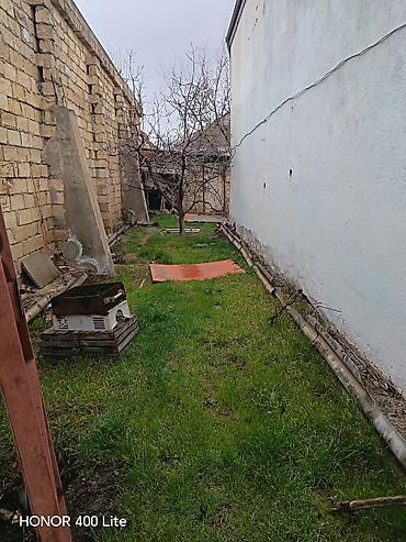 Xalçalar: Xalça Dekorativ — 20