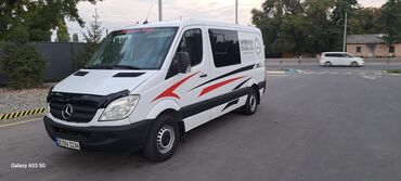 спринтер лапата: Mercedes-Benz Sprinter: 2007 г., 2.2 л, Механика, Дизель