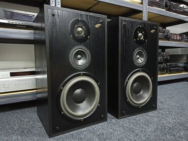 Zvučnici i stereo sistemi: Dynaudio scriptum 3 vrhunac skandinavskog dizajna i kvaliteta zvuka — 6