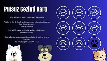 dogo argentino: Patillər və Biz – ev heyvanları üçün peşəkar gəzinti və baxım xidməti — 3