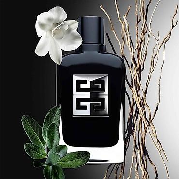 Личные вещи: Givenchy Gentleman Eau de Parfum, 100 мл Мужская парфюмерная вода в — 1