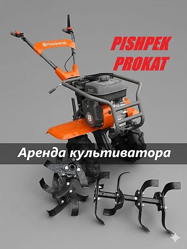 АРЕНДА КУЛЬТИВАТОРА аренда мотоблока культиватор в аренду культиватор