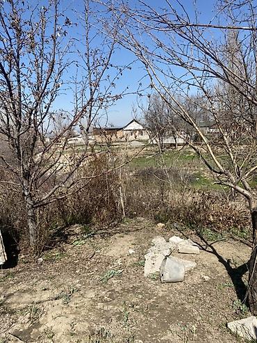 Продажа дач: Продаётся дом с участком. - Одноэтажный дом из кирпича с — 21