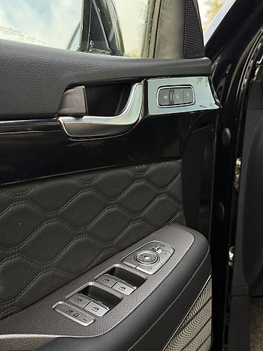 мощный: Hyundai Palisade: 2020 г., 2.2 л, Автомат, Дизель — 9
