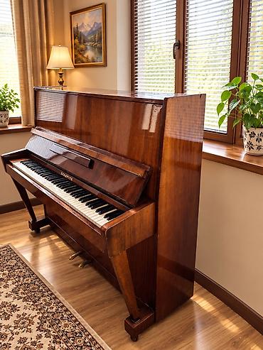 струны гитара: Вертикальное пианино Sauter - Тип: акустическое пианино (upright) - — 1