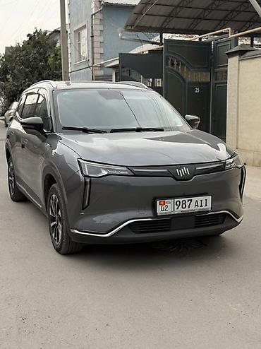 avalon 2017: Weltmeister W6, 2021 г., 83000 км — 1