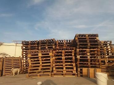 Pallet, 800 х 1200 sm