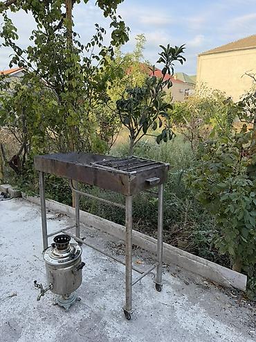 bakida kiraye evler 2026: Novxanıda elit məhlədə hovuzlu ev kirayə verirəm. İki mətbəx, 3 otaq — 10