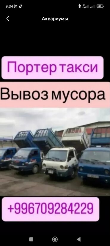 Грызуны: Вывоз мусора Вывоз мусора Вывоз мусора