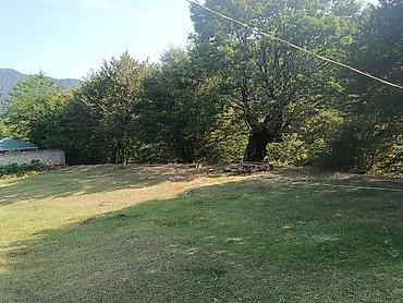 qəbələ ev satışı: 70 kv. m, 3 otaqlı, Hovuzsuz, Qaz — 10