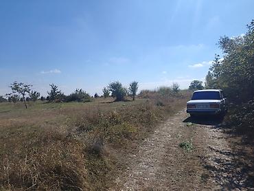 94 sot, Kənd təsərrüfatı, Maklerlər narahat etməsin lalafo.az -da 94 sot, Kənd təsərrüfatı, Maklerlər narahat etməsin