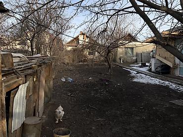 Продажа коттеджей и домов: Продается дом с участком в очень перспективной локации — ул — 9