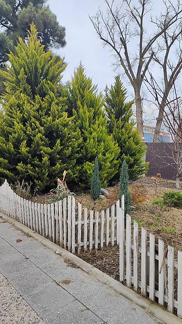 Həyət evləri və villaların satışı: 8 otaq, 172 kv. m, Orta təmir -da lalafo.az — 14 Həyət evləri və villaların satışı: 8 otaq, 172 kv. m, Orta təmir — 14