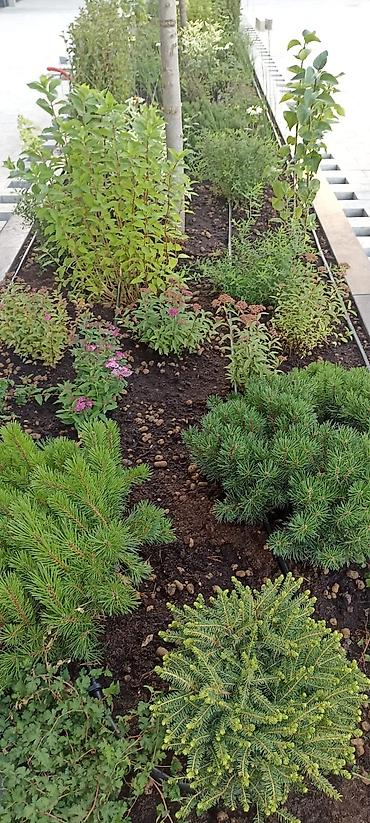 Насосы: Здравствуйте. Мы частная компания которая занимается профессионально — 5