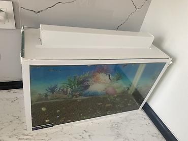 Dördbucaq akvarium, Balıqlarla birlikdə, 20 l, Ünvandan götürmə, Ödənişli çatdırılma