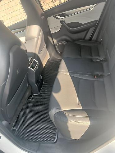 hongqi ehs9: Weltmeister EX5, 2020 г. — 6