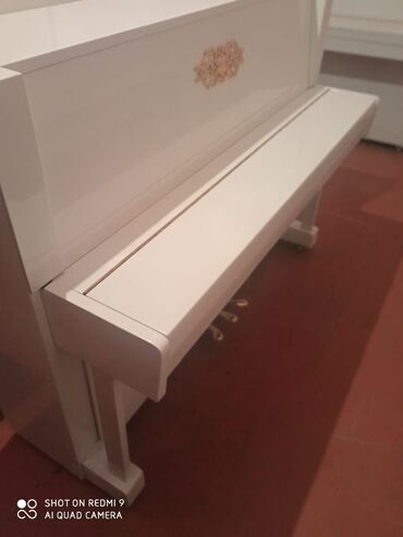 evkalipt ağacı satilir in Azərbaycan | BITKI KÖKLƏRI: Ag rengde original model Akkord pianosu satilir