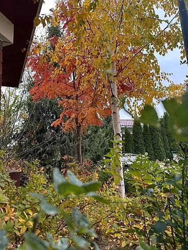 Иссык-Куль 2026: Коттедж, КОТТЕДЖ ЦО Радуга West, Кош-Кол, Детская площадка, Охраняемая территория, Бассейн — 20