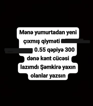 Животные: Şemkire yaxın olanlar yazsın