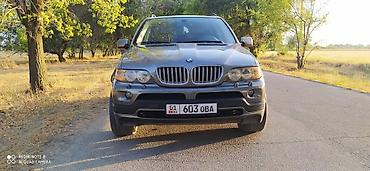 BMW: BMW X5: 2004 г., 4.4 л, Типтроник, Бензин, Седан — 16